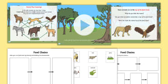 Living Things and their Habitats Food Chains Lesson Teaching Pack