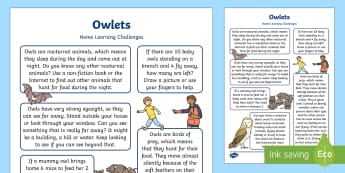 Owlets Home Learning Challenges Reception FS2 - EYFS Owlets, Owl Babies, Martin Waddell, owls, nocturnal