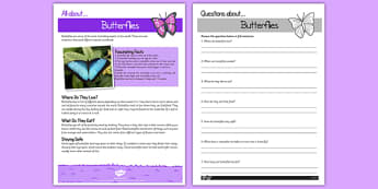 Butterfly Reading Comprehension - butterfly, reading, comprehension