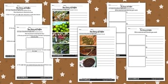 The Story of Coffee Differentiated Worksheets Medium - food 