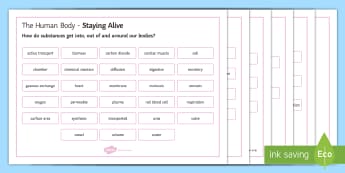 OCR 21st Century Combined Science The Human Body Staying Alive Word Mat  - Word Mat, gcse, biology, transport, active transport, diffusion, osmosis, cardiovascular, circulator