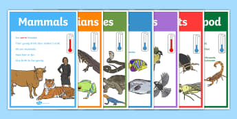 Animal Groups Display Posters - Animal, Display, Display Poster, Poster, Animal Poster, Animal Display, Animal Groups Poster, Animal Groups