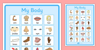 My Body Vocabulary Poster - my body, vocabulary poster, poster, my body vocabulary, display poster, information poster, poster for display, class display