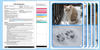 EYFS Tracks in the Sand Adult Input Plan and Resource Pack