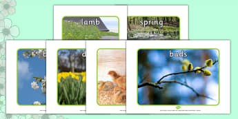 Spring Display Photos - Spring, seasons, photo, display photo, lambs, daffodils, new life, flowers, buds, plants, growth
