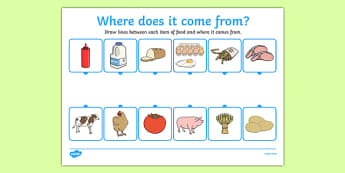 Where Does Food Come From Worksheet - food,work sheet, where does food come from, origin of food, cooking, cow, milk, pig, bacon