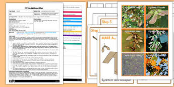 Investigating Sycamore Seeds EYFS Adult Input Plan and Resource Pack