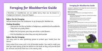 Foraging for Blackberries Guide - forest, woodland, food, berries, berry, forage, woods, edible plants, 