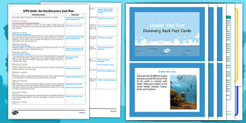 EYFS Under the Sea Discovery Sack - EYFS, under the sea, sack
