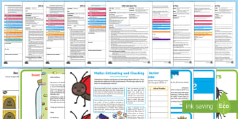 EYFS Maths: Estimates How Many Objects... Adult Input Planning and Resource Pack - EYFS, Early Years Planning, Foundation, Adult Led, Topic Plan, Maths, Mathematics, 40-60, Estimates,