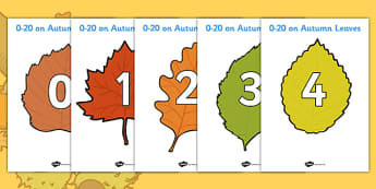 Numbers 0-20 on Autumn Leaves - Autumn, leaves,  foundation stage numeracy, Number recognition, Number flashcards, counting, number frieze, Display numbers, number posters, Autumn, seasons, autumn pictures, autumn display, leaves, acorn, conker, nume