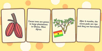 Where Chocolate Comes From Matching Activity - match, chocolate