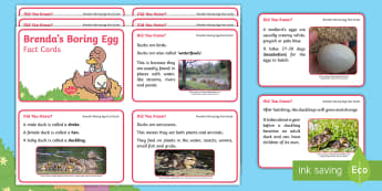 Brenda's Boring Egg Fact Cards - Twinkl originals, fiction, KS1, EYFS, ducks, story sack, home learning, parents, information, duck l