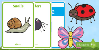 Many Minibeasts Estimation Resource Pack Resource Pack - EYFS, Early Years, Estimates, How Many Objects, Numeracy, Maths, Mathematics, Number, 40-60, early y