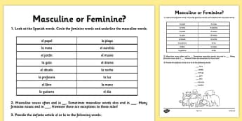 Spanish Masculine or Feminine Genders Worksheet - worksheets