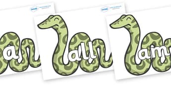 Foundation Stage 2 Keywords on Snakes - FS2, CLL, keywords, Communication language and literacy,  Display, Key words, high frequency words, foundation stage literacy, DfES Letters and Sounds, Letters and Sounds, spelling