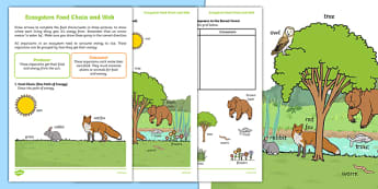 Ecosystem Food Chain and Web Activity Sheets, worksheet