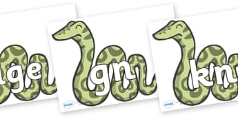 Silent Letters on Snakes - Silent Letters, silent letter, letter blend, consonant, consonants, digraph, trigraph, A-Z letters, literacy, alphabet, letters, alternative sounds