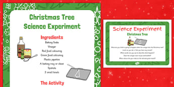 EYFS Christmas Tree Science Experiment and Prompt Card Pack - eyfs, christmas tree, science experiment, pack