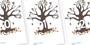 Numbers 0-31 on Autumn Trees - 0-31, foundation stage numeracy, Number recognition, Number flashcards, counting, number frieze, Display numbers, number posters