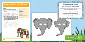EYFS Why Do Elephants Have Big Ears? Science Experiment and Prompt Card Pack - Elmer, David McKee, colour, rainbow, patchwork, animals, Wilbur, Dumbo