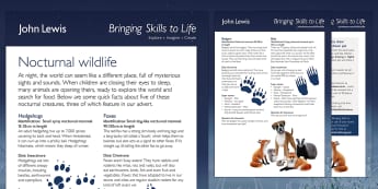 John Lewis Christmas Nocturnal Wildlife Fact Card Activity