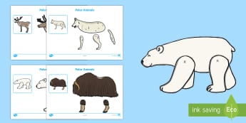 Polar Animals Split Pin Activity - The Arctic, Polar Regions, north pole, south pole, explorers