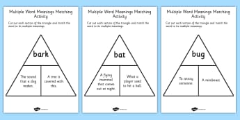 Multiple Word Meanings Matching Activity - word meaning, activity