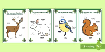 Woodland Animal Movement Cards English/Romanian - Woodland, forest, animals, fox, deer, rabbit, badger, bird, squirrel, movement, PD, physical develop