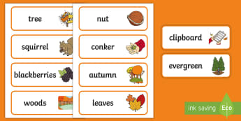 A Sense of Autumn Word Cards - Exploring my world, seasons, Aistear, school trip, forest, blackberries, squirrels, leaves, bark, Di