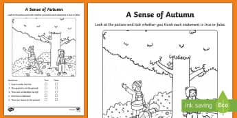 A Sense of Autumn True or False Activity - seasons, Aistear, school trip, forest, blackberries, squirrels, leaves, bark, literacy, reading, ora