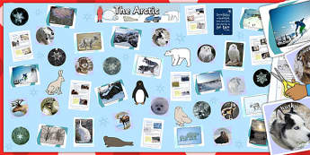 Ready Made Arctic Display Pack - ready made, arctic, display
