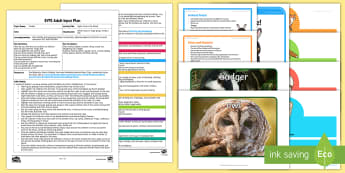 EYFS Night-Time in the Wood Adult Input Plan and Resource Pack - EYFS Owlets, Owl Babies, Martin Waddell,  owl, nature, british, wildlife, nocturnal, night, animals,