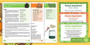 EYFS Autumn Themed Science Experiments Resource Pack-Australia