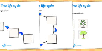 Apple Tree Life Cycle Worksheets -  worksheets, worksheet, apple tree worksheet, life cycle worksheets, apple tree, life cycle, life cycle of an apple tree