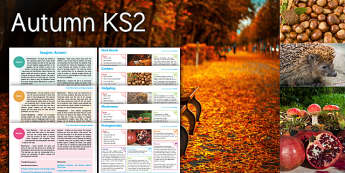 Imagine: Autumn KS2 Resource Pack - autumn, park, bench, conkers, hedgehog, mushroom, pomegranate
