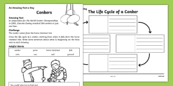 Conkers! Activity Sheet, worksheet