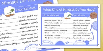 What Kind of Mindset Do You Have? Poster - Growth, fixed, display, learning, learner, improve