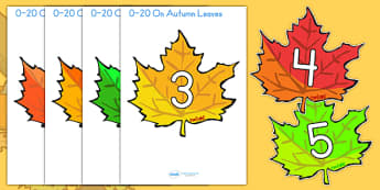 0 20 On Fall Leaves - fall, seasons, weather, math, math display 