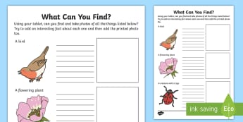 What Can You Find? Outdoor Learning Tablet Activity - CfE Outdoor Learning, nature, forest, woodland, playground,  STEM, counting, numbers, bug hunt, mini