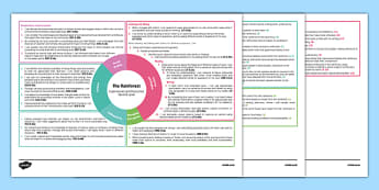 Rainforest Second Level CfE Interdisciplinary Topic Web - CfE, Social Studies, Place, Environment, Cross Curricular
