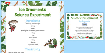 Ice Ornaments Science Experiment - ice ornaments, science, experiment