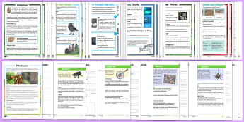 Animals and Creatures Differentiated Reading Comprehension Activity Pack-Australia