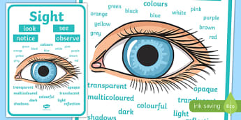 Sight Vocabulary Display Poster
