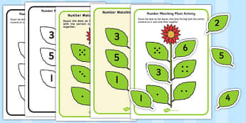 Number Matching Plant Activity - number matching, plant, activity