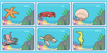 Under the Sea Class Group Signs Editable  - Sea life, sea creatures, group signs, group labels, group table signs, table sign, teaching groups, class group, class groups, table label