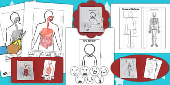 Science Humans Interactive Visual Aids Resource Pack - visuals
