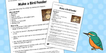 Bird Feeders Worksheet - bird feeders, worksheet, bird, feeder