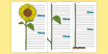 Flower Height Chart - Height chart, height display, measuring chart, measure, child height, flower chart, flower display, tall, short