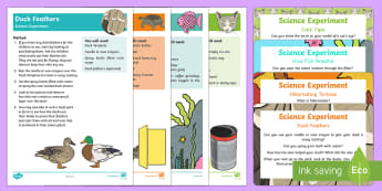 EYFS Pets Science Experiments Resource Pack - EYFS Pets, Animals, National Pet Month, animal care, duck, cats, nocturnal, fox, deer, fish, light a